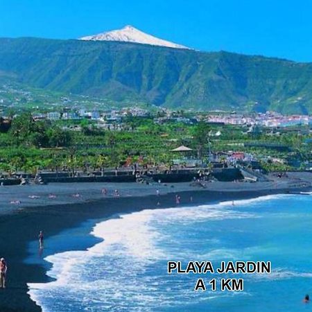 Toplage. Blick. Sauber. Guenstig. Pool. Gepflegt Puerto de la Cruz (Tenerife) Exterior foto