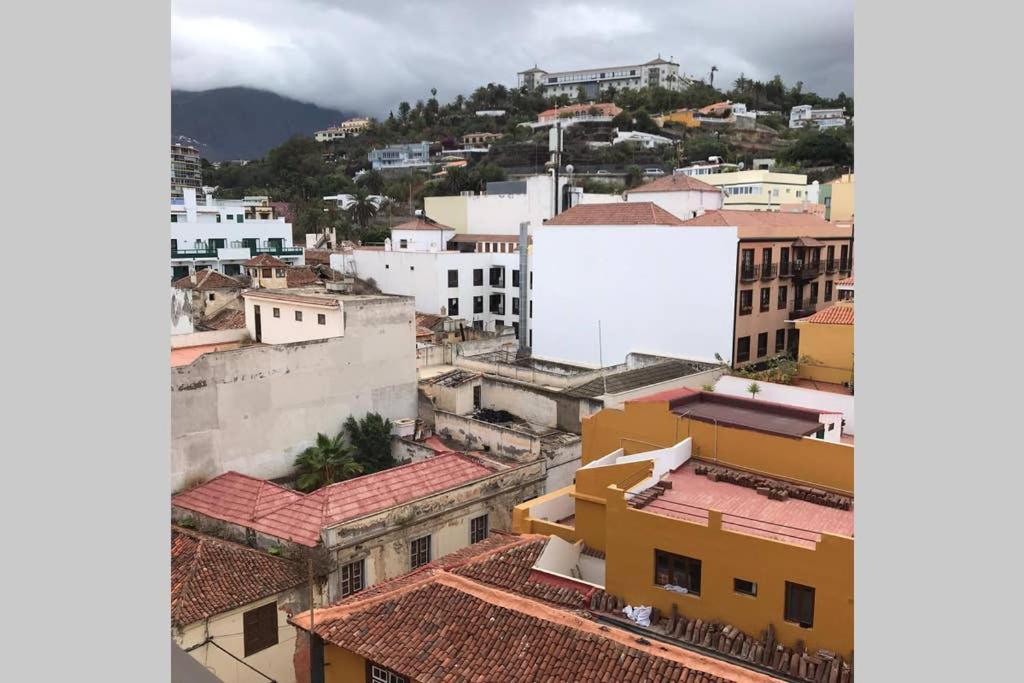 Toplage. Blick. Sauber. Guenstig. Pool. Gepflegt Puerto de la Cruz (Tenerife) Exterior foto