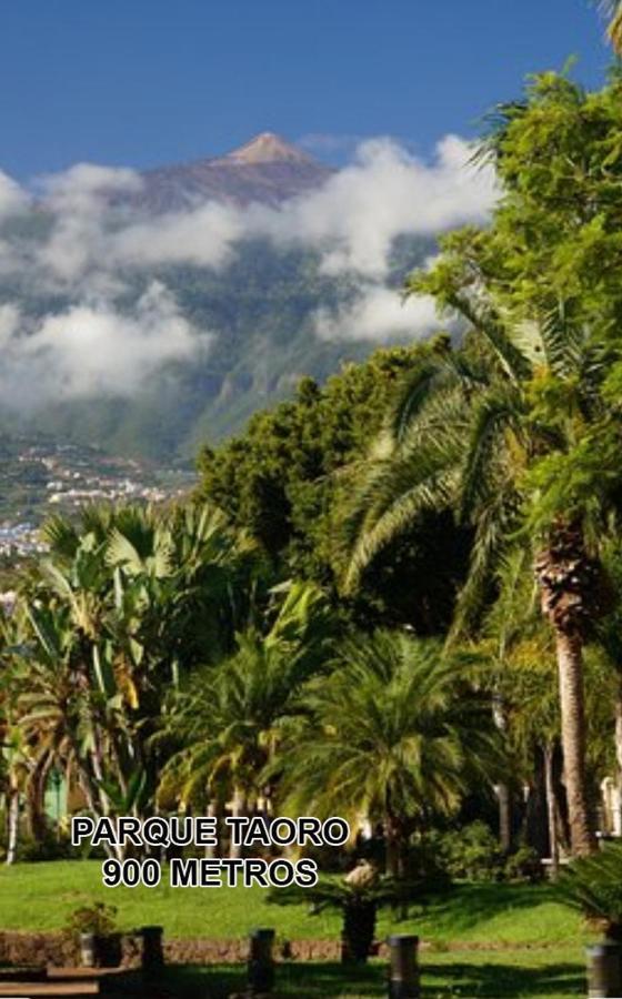 Toplage. Blick. Sauber. Guenstig. Pool. Gepflegt Puerto de la Cruz (Tenerife) Exterior foto