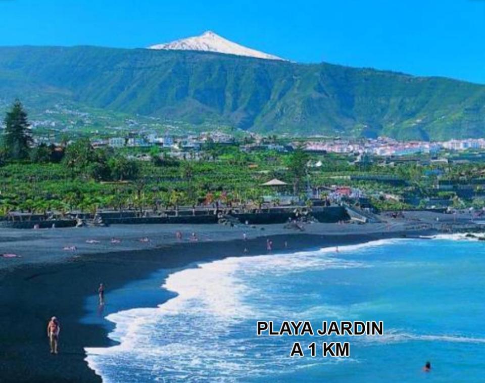 Toplage. Blick. Sauber. Guenstig. Pool. Gepflegt Puerto de la Cruz (Tenerife) Exterior foto