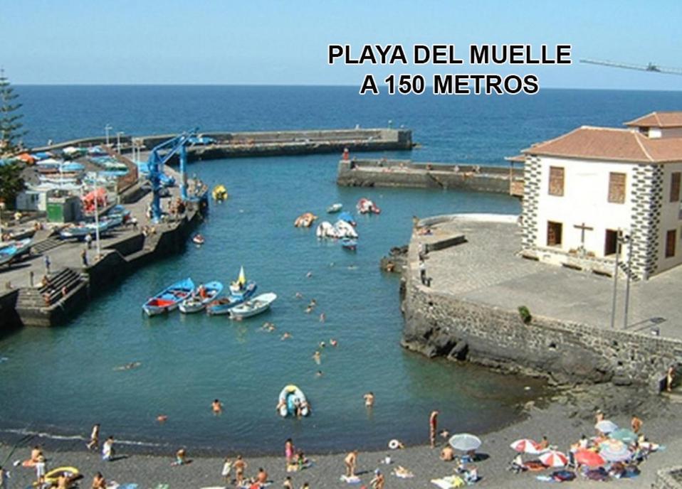 Toplage. Blick. Sauber. Guenstig. Pool. Gepflegt Puerto de la Cruz (Tenerife) Exterior foto